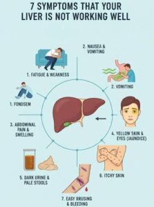 Liver Problem Symptoms in Females